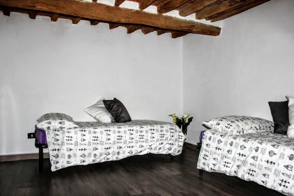 Vila Panoramic And Beautiful House 4Km From The Sea. Rosignano Marittimo Exteriér fotografie