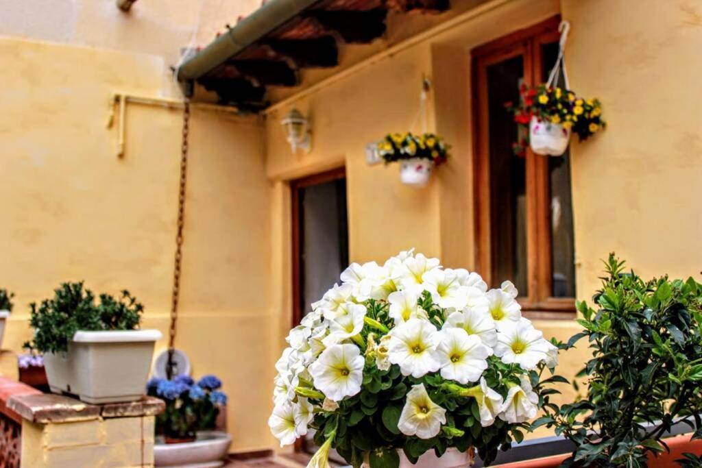 Vila Panoramic And Beautiful House 4Km From The Sea. Rosignano Marittimo Exteriér fotografie